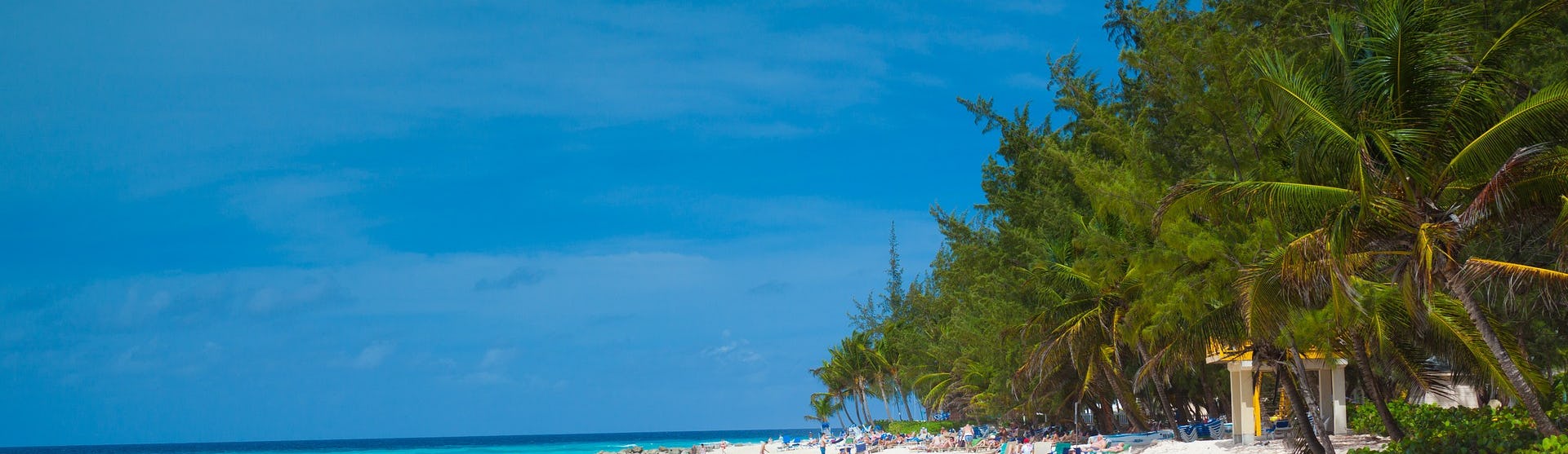 Bild på en snövit strand, palmer och ljusblått vatten i Barbados.
