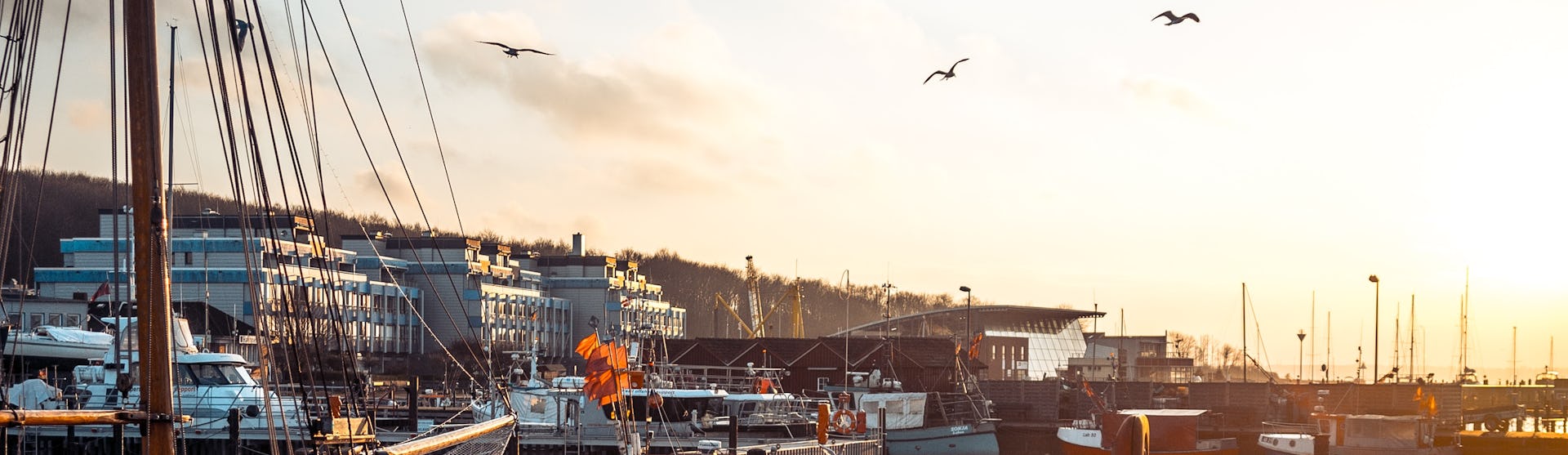 Kiels småbåtshamn med båtar och fåglar på himlen.